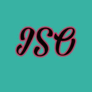 ISO !! In Search Of !! Not For Sale !! Rare Editions Teal Glitter Dress